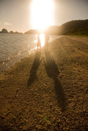 結婚指輪リースは中途解約はできるのか